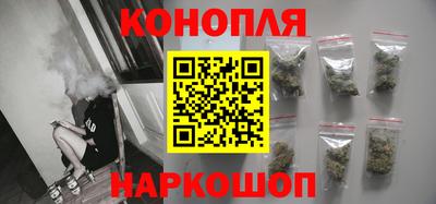 spice Новодвинск