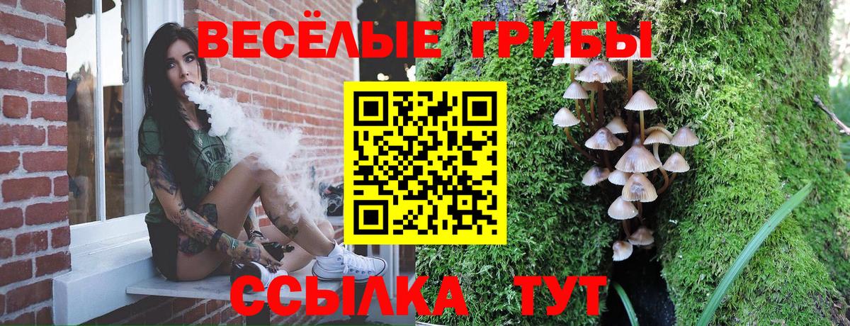 Урюпинск  Псилоцибиновые грибы Magic Shrooms  Вход с VPN  Галлюциногенные грибы мицелий 